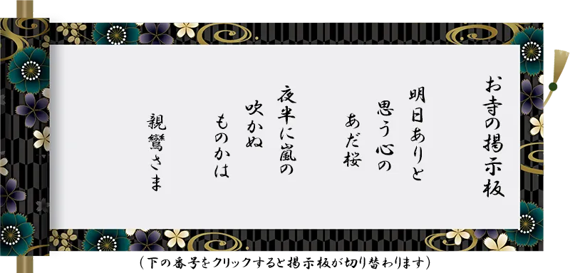 明日ありと 思う心の あだ桜 夜半に嵐の 吹かぬ ものかは 親鸞さま